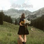 Alpine Bloom